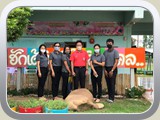 school (255)