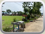 school (273)