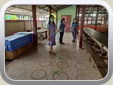school (381)