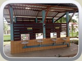 school (539)