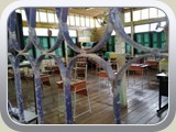 school (540)