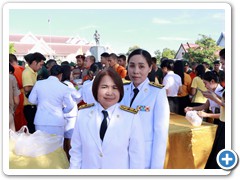 king10 (49)